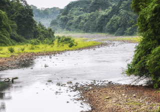 UNESCO Biosphere Reserve Principe Sao Tome and Principe Atlantic Ocean Africa Canva Pro 1 UNESCO Biosphere Reserve Principe Sao Tome and Principe Atlantic Ocean Africa Canva Pro 1