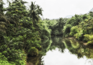 UNESCO Biosphere Reserve Principe Sao Tome and Principe Atlantic Ocean Africa Canva Pro UNESCO Biosphere Reserve Principe Sao Tome and Principe Atlantic Ocean Africa Canva Pro