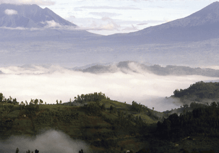 Valley fogs and volcanoes National Park Rwanda Africa Canva Pro Valley fogs and volcanoes National Park Rwanda Africa Canva Pro