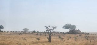 View from train landscape Tsavo View from train landscape Tsavo