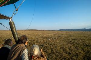 Viewing Zebra From The Balloon Viewing Zebra From The Balloon