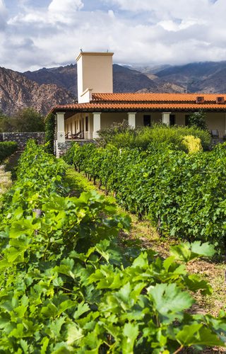 Vineyardinas De Cafayate Mendoza Argentina We Vineyardinas De Cafayate Mendoza Argentina We