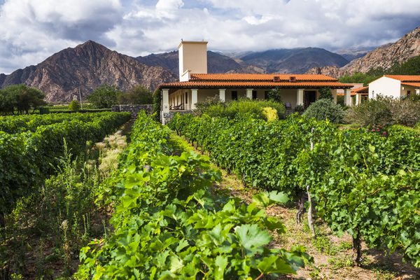 Vineyardinas De Cafayate Mendoza Argentina We Vineyardinas De Cafayate Mendoza Argentina We
