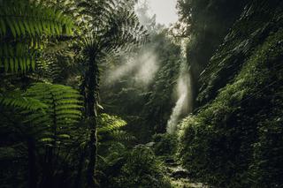 Visit Rwanda Nh Oo Activities Waterfall Trek 0147 Master 1920X1280 Visit Rwanda Nh Oo Activities Waterfall Trek 0147 Master 1920X1280