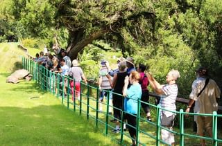 Visiting Area To See Jonathan The Tortoise Visiting Area To See Jonathan The Tortoise