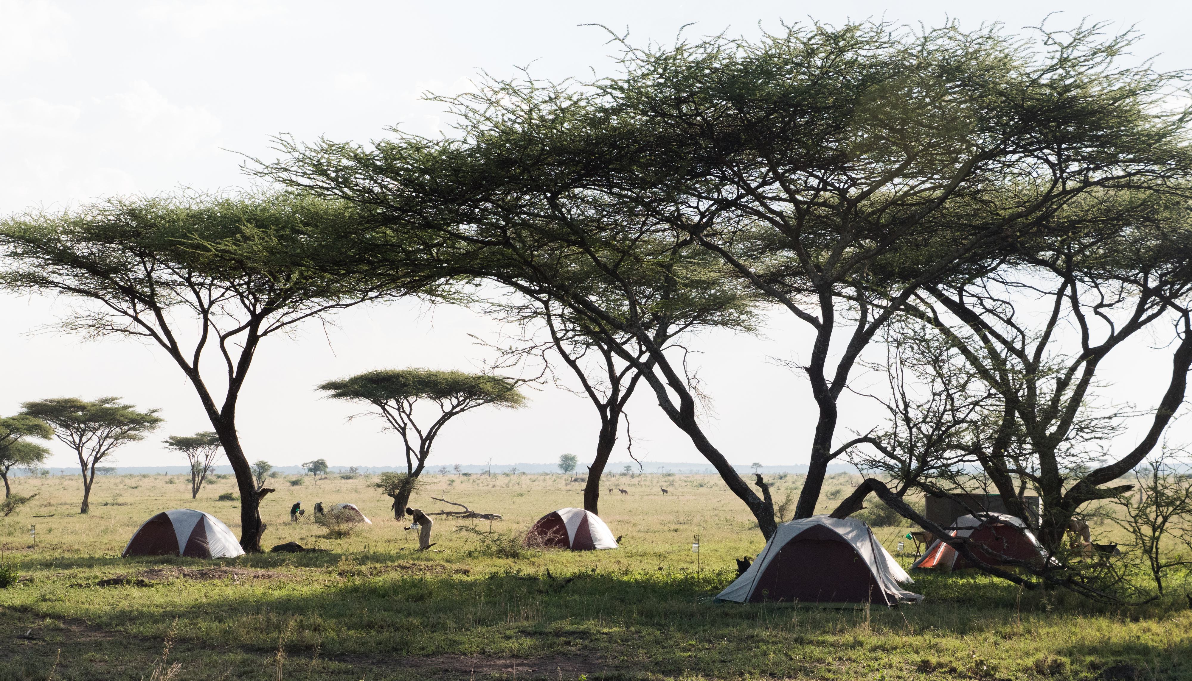 WAYO-Trekking-FLy-Camp-Safari-Camp.jpg#asset:116604