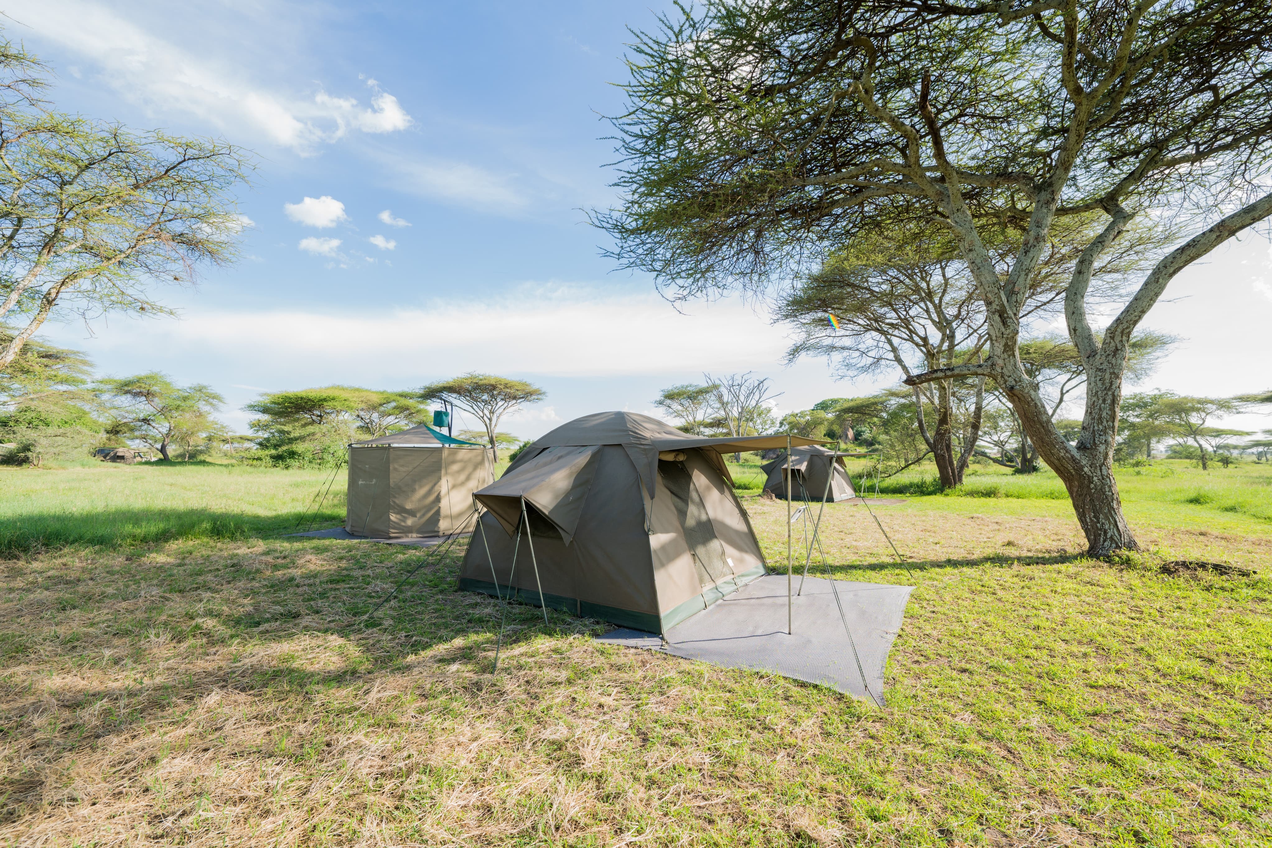 WAYO-Walking-Safari-Camp-tents.jpg#asset:116597