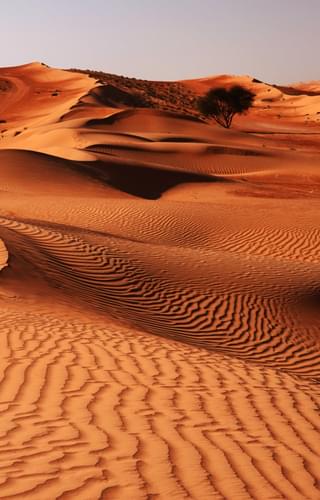 Wahiba Sands Desert