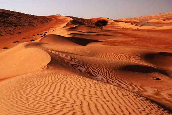 Wahiba Sands Desert Wahiba Sands Desert