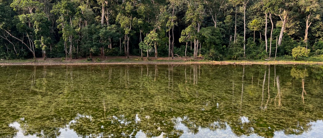 Wali Bai Nouabalé Ndoki NP Expéditions Ducret Congo