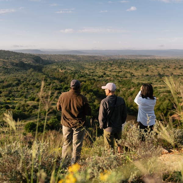 Walking Safari Eastern Cape