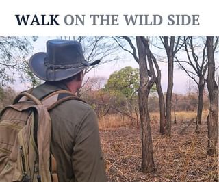Walking Safari Walking Safari