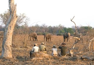 Walking Safaris Walking Safaris
