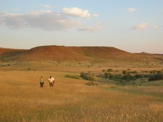 Walking in the grass Skeleton Coast Namibia Walking in the grass Skeleton Coast Namibia