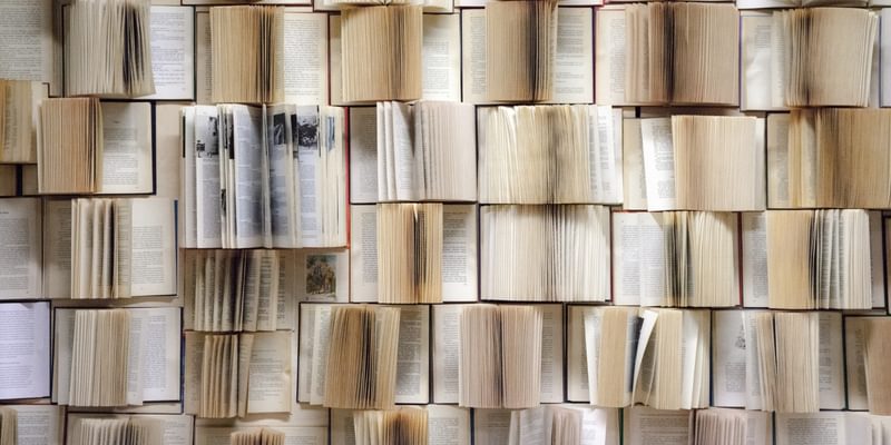 Wall Filled with Books canva Pro Wall Filled with Books canva Pro