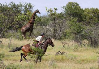 Waterberg Safaris Waterberg Safaris