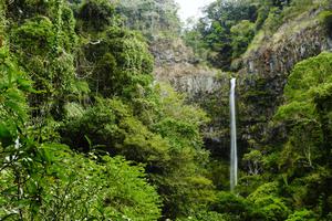 Waterfall In Amber Mountain National Park