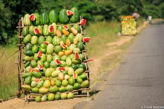 Watermelons In Malawi