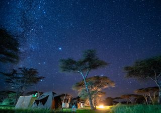 Wayo Walking Safari Wayo Walking Safari