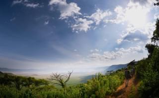 Wayo Walking In Ngorongoro