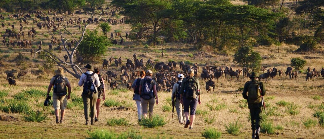 Wayo Walking In Serengeti