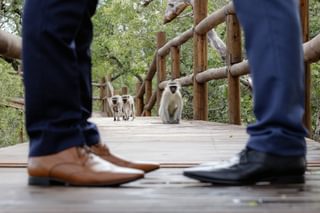 Wedding At Safari Lodge Ulusaba Wedding At Safari Lodge Ulusaba