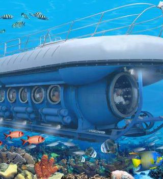 Whale Submarine Whale Submarine