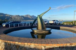 Whale Tail Statue Hermanus South Africa min