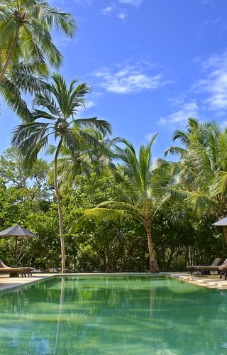 Why House Swimming Pool Why House Swimming Pool