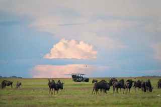 Wild Western Zambia Hero Wild Western Zambia Hero
