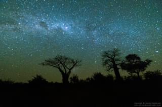 Wilderness Photography Course Makuleke Night Sky