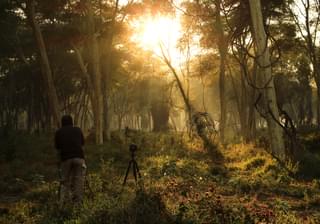 Wilderness Photography Course Makuleke Forests At Dawn