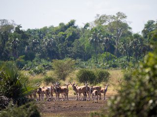 Wilderness Photography Course Wildlife Wilderness Photography Course Wildlife