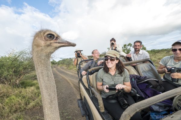 Wilderness Photography Course Meeting An Ostrich In Makuleke Wilderness Photography Course Meeting An Ostrich In Makuleke