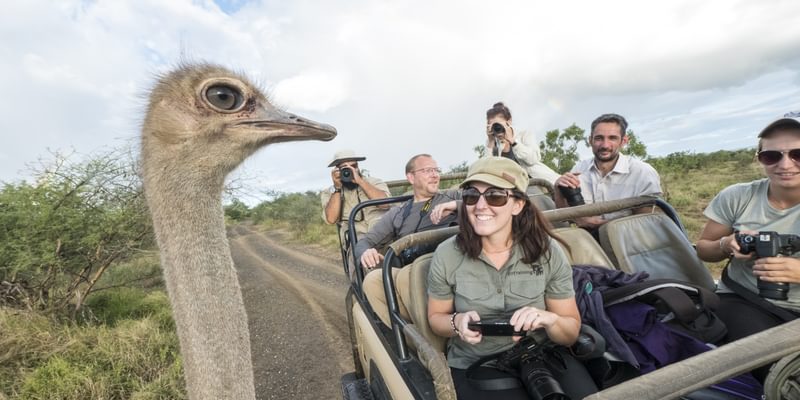 Wilderness Photography Course Meeting An Ostrich In Makuleke Wilderness Photography Course Meeting An Ostrich In Makuleke