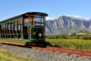 Wine Tram Wine Tram