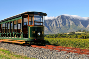 Wine  Tram