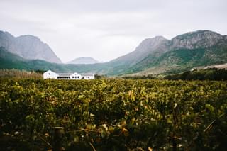 Winelands South Africa