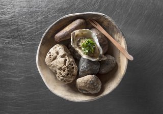 Wolfgat Oyster Wolfgat Oyster