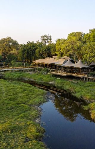 Xigera Botswana Moremi Wetu15 Xigera Botswana Moremi Wetu15