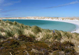 Yorke Bay Falkland Islands Canva Pro Yorke Bay Falkland Islands Canva Pro