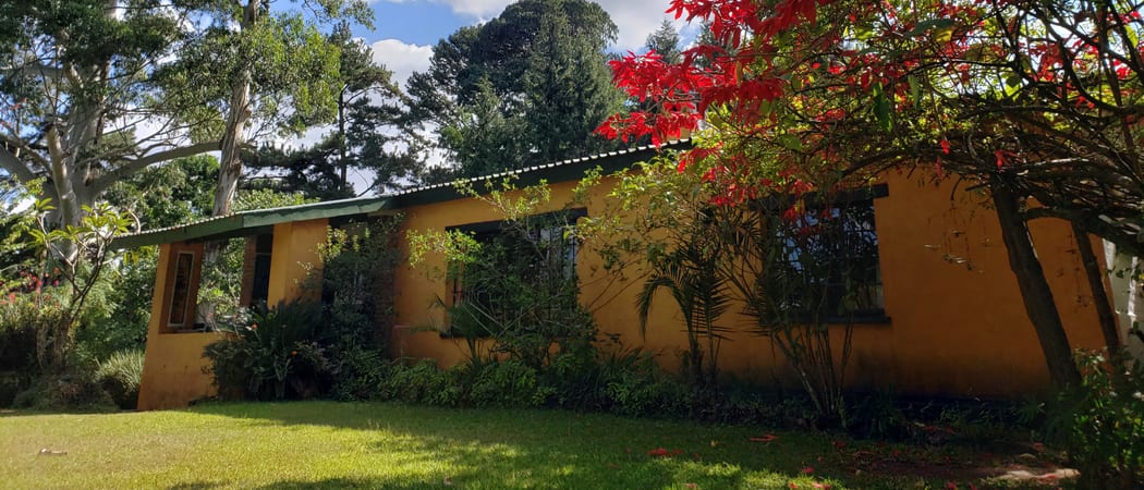 ZFL pointsettia Zomba Forest Lodge