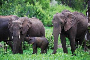 Zambezi National Park Zambezi National Park