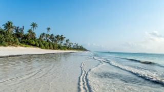 Zanzibar canva pro Zanzibar canva pro