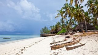 Zanzibar canva pro Zanzibar canva pro
