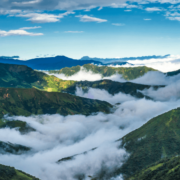 Zaruma Ecuador Canva Pro