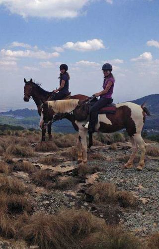 Zomba Forest Lodge Horse Riding On The Plateau