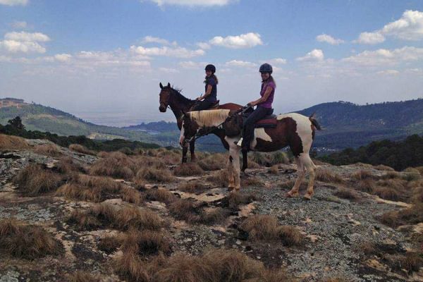 Zomba Forest Lodge Horse Riding On The Plateau Zomba Forest Lodge Horse Riding On The Plateau