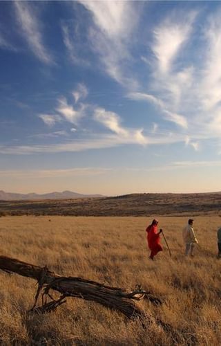 Elewana Lewa Safari walking safaris