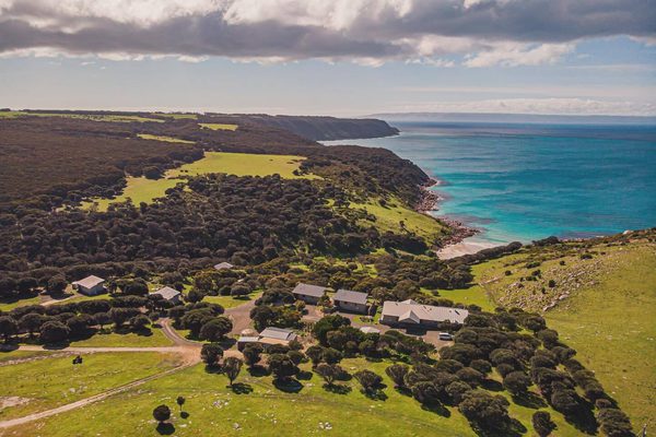 Aerial view sea dragon kangaroo island australia facebook Aerial view sea dragon kangaroo island australia facebook